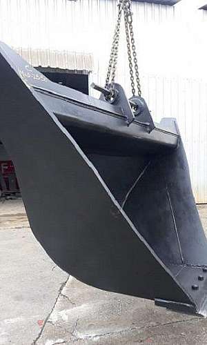 concha trapezoidal concha trapezoidal