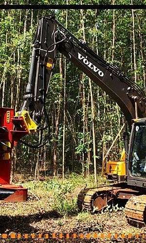 Implementos florestais a venda Implementos florestais a venda