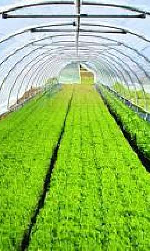 Lona agrícola Lona agrícola